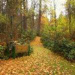Finch Arboretum Woodland Center