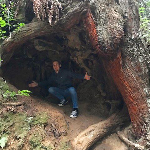 Michael in one of our redwood hikes