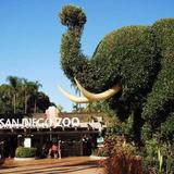San Diego Zoo