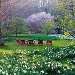 Chanticleer, a pleasure garden