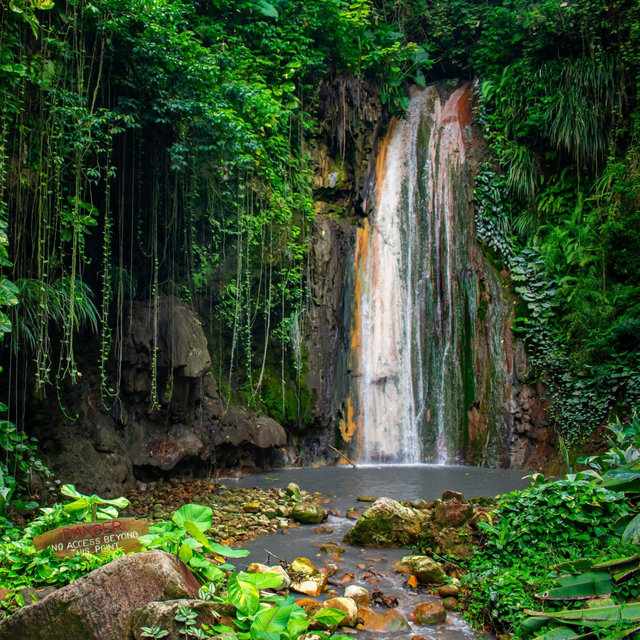 Sulphur Springs and Diamond Falls Excursion