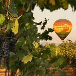 Sunrise Hot Air Balloon Flight over the Temecula Wine Country