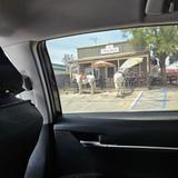 The Cowboy Tavern