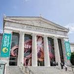 Shedd Aquarium