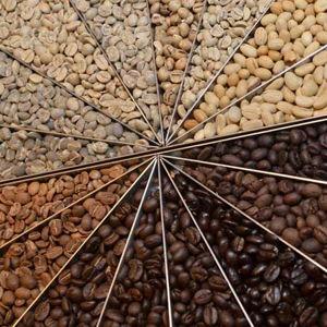 1 lb Unroasted Coffee Beans for Jaston