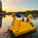 Washingtonian Paddle Boats
