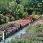 Daniel Stowe Botanical Garden