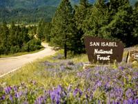 Pike San Isabel National Forest