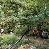Explore the property