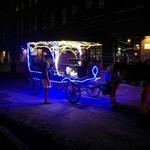 Horse-Drawn Carriage Ride