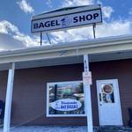 Winnipesaukee Bay Gulls 2