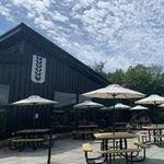 Upward Brewing Company
