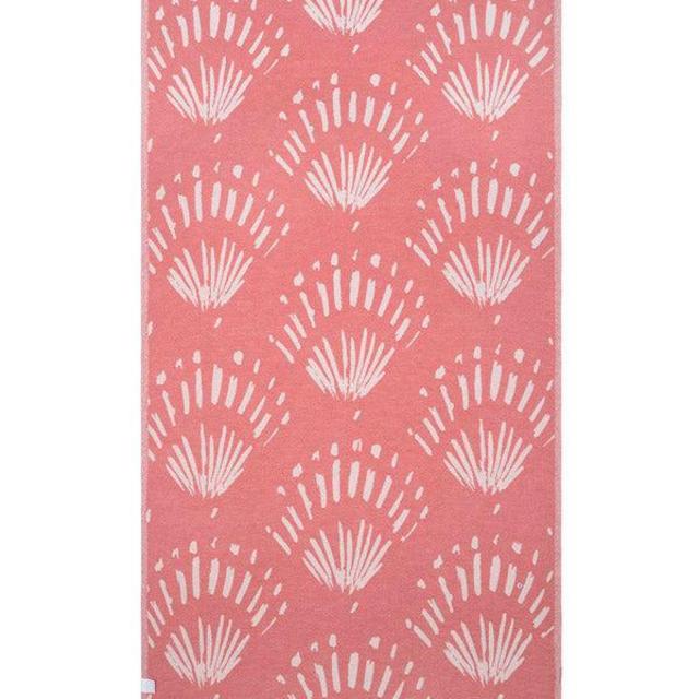 Scallop