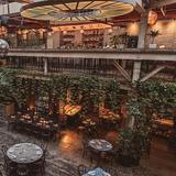 Fandi Mata
