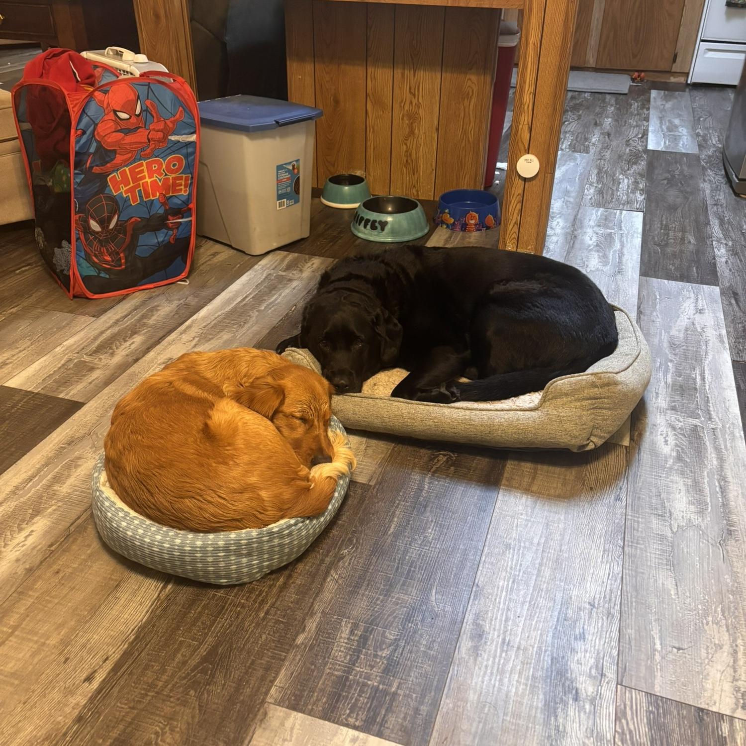 Sweet Baby Angels