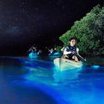 Kayak Bio Bay Tour at Vieques