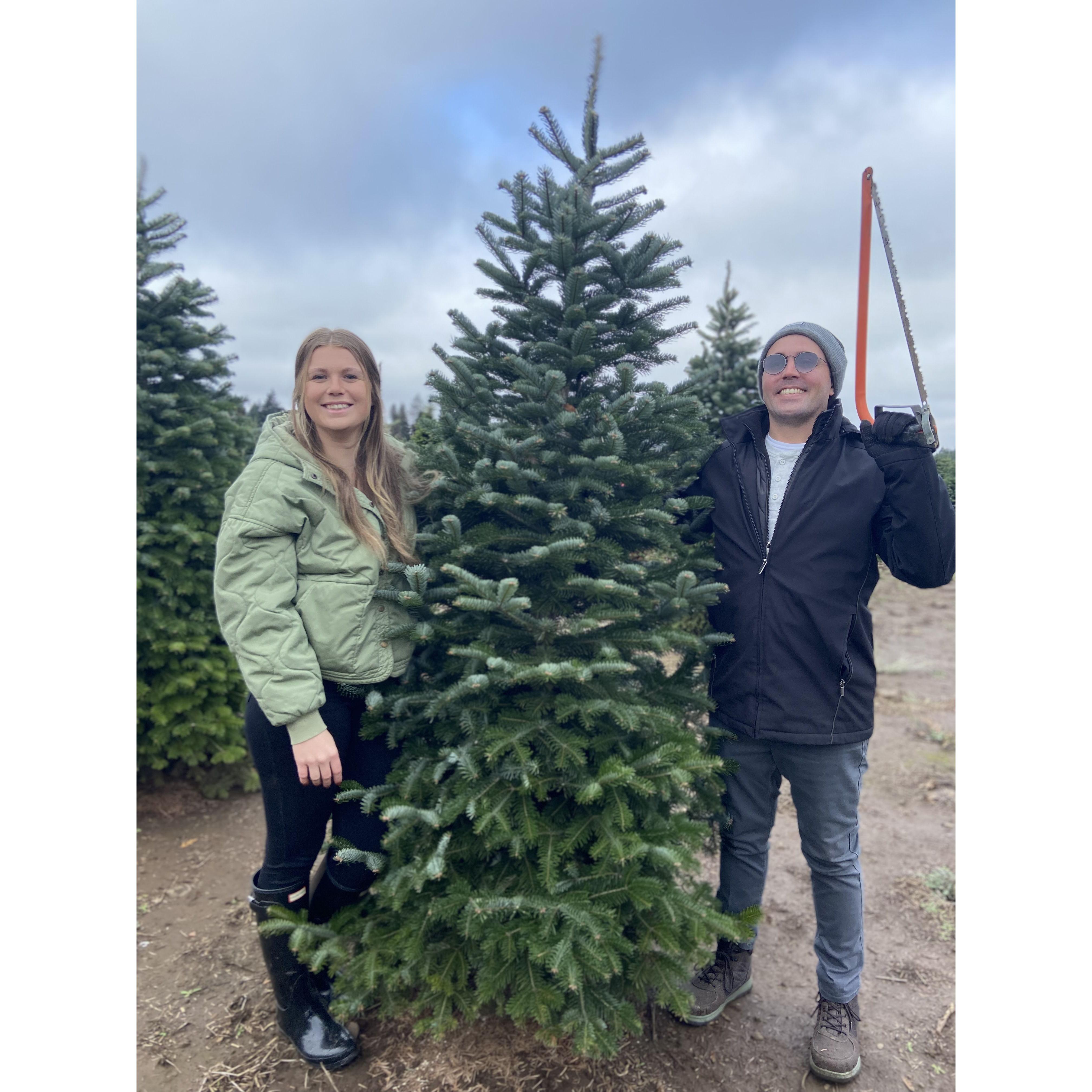 Finding the perfect tree for the first Christmas in our new home.