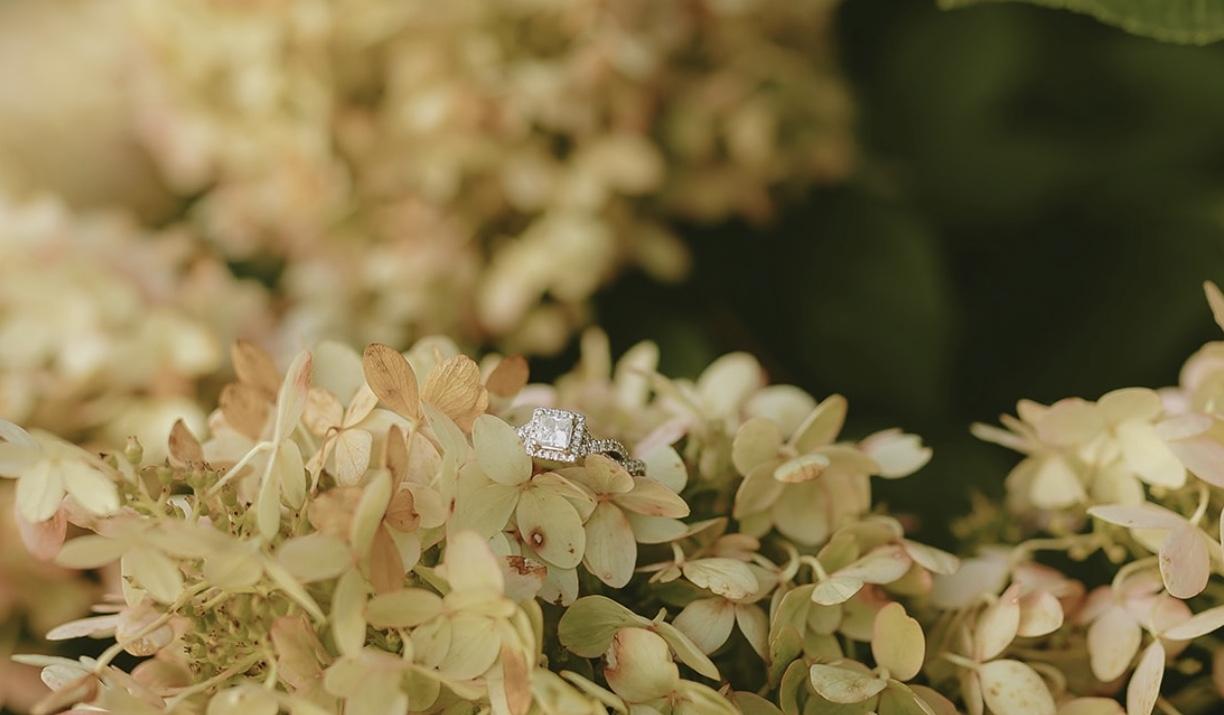 The Wedding Website of Mckenzie Walker and Bryan Morris