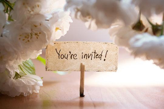 The Wedding Website of Dani Ross and Jacob Montgomery