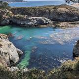 Point Lobos State Natural Reserve