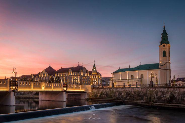 The Wedding Website of Richard Gorcea and Ayse Odev