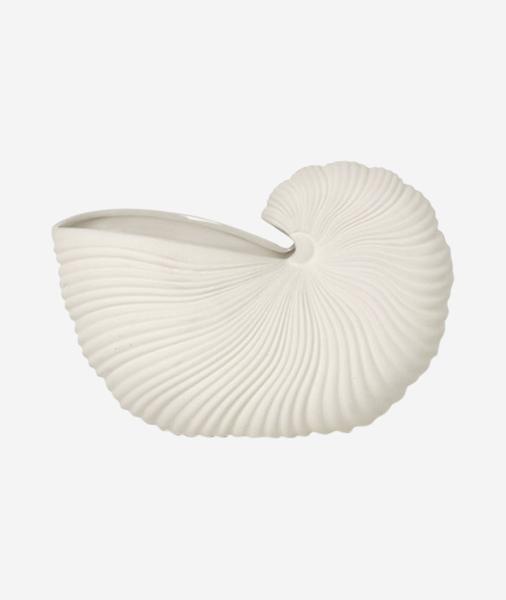 Shell Pot