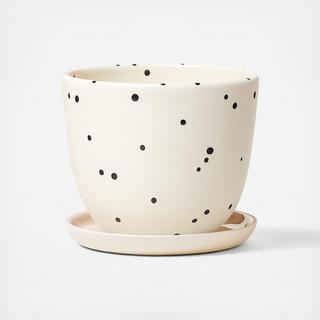 Dot Planter with Saucer
