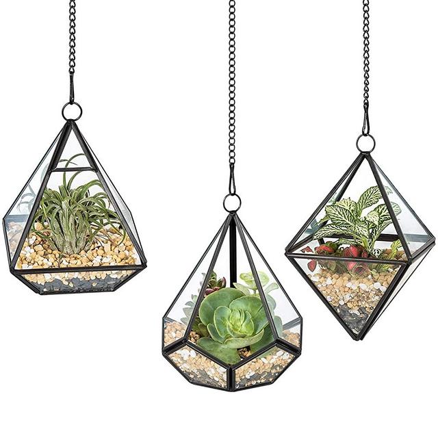 Mkono 3 Pcs Small Hanging Glass Terrarium Geometric Container Vertical Modern Planter Windowsill Decor DIY Display Box Centerpiece Gift for Succulent Fern Moss Air Plants Miniature Fairy Garden