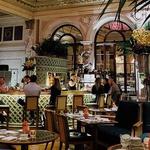 Cocktails at The Plaza Hotel