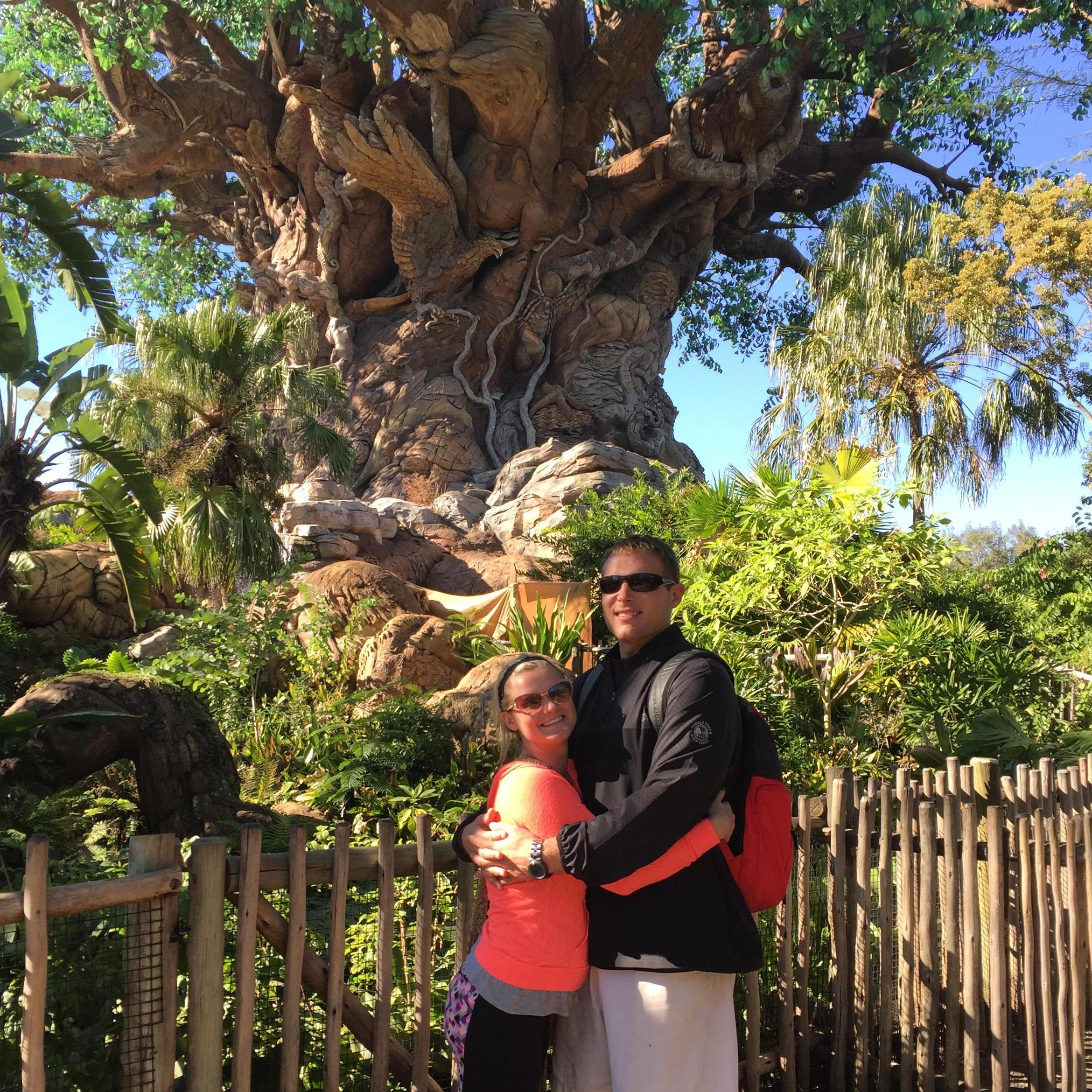 Disney world in front of the tree of life