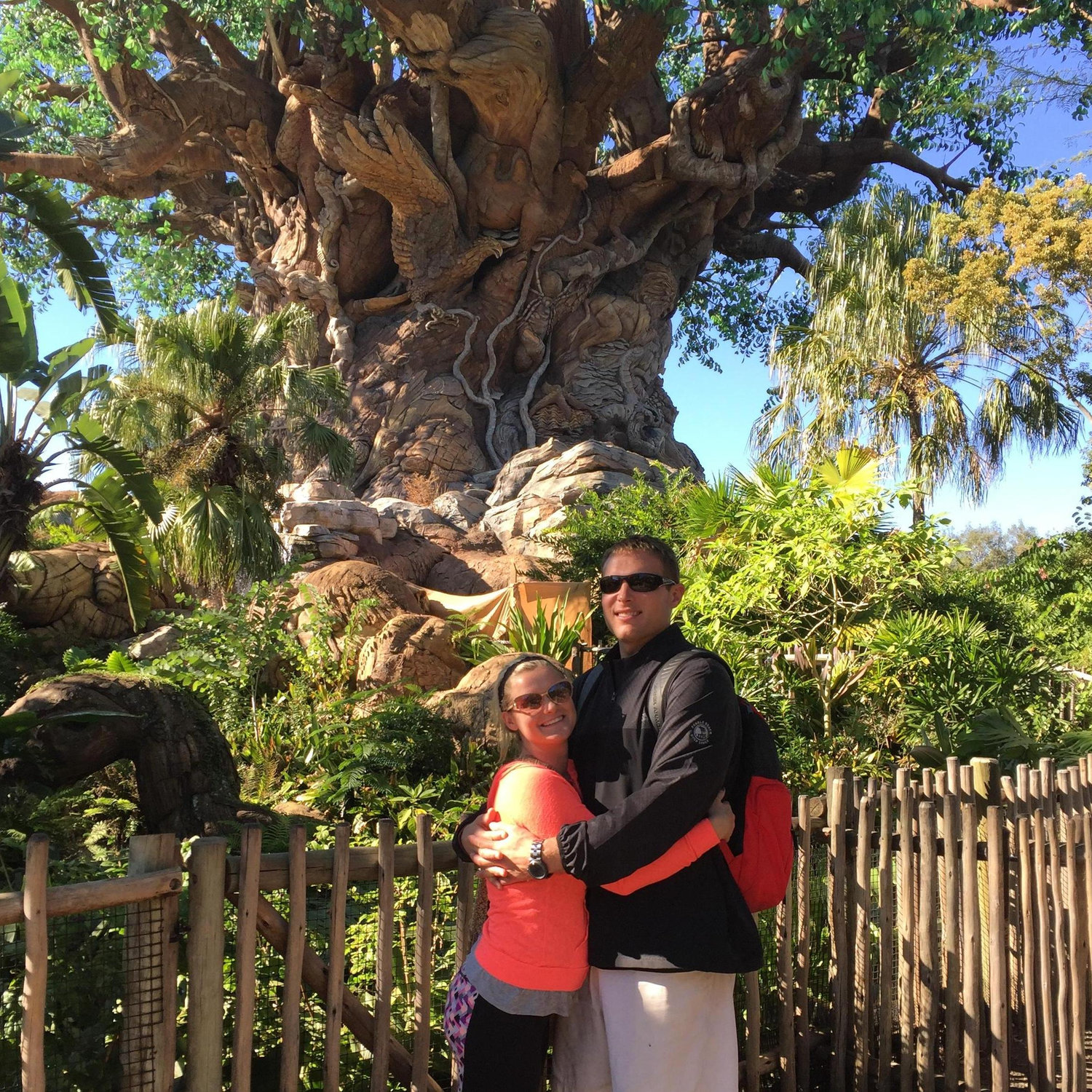 Disney world in front of the tree of life