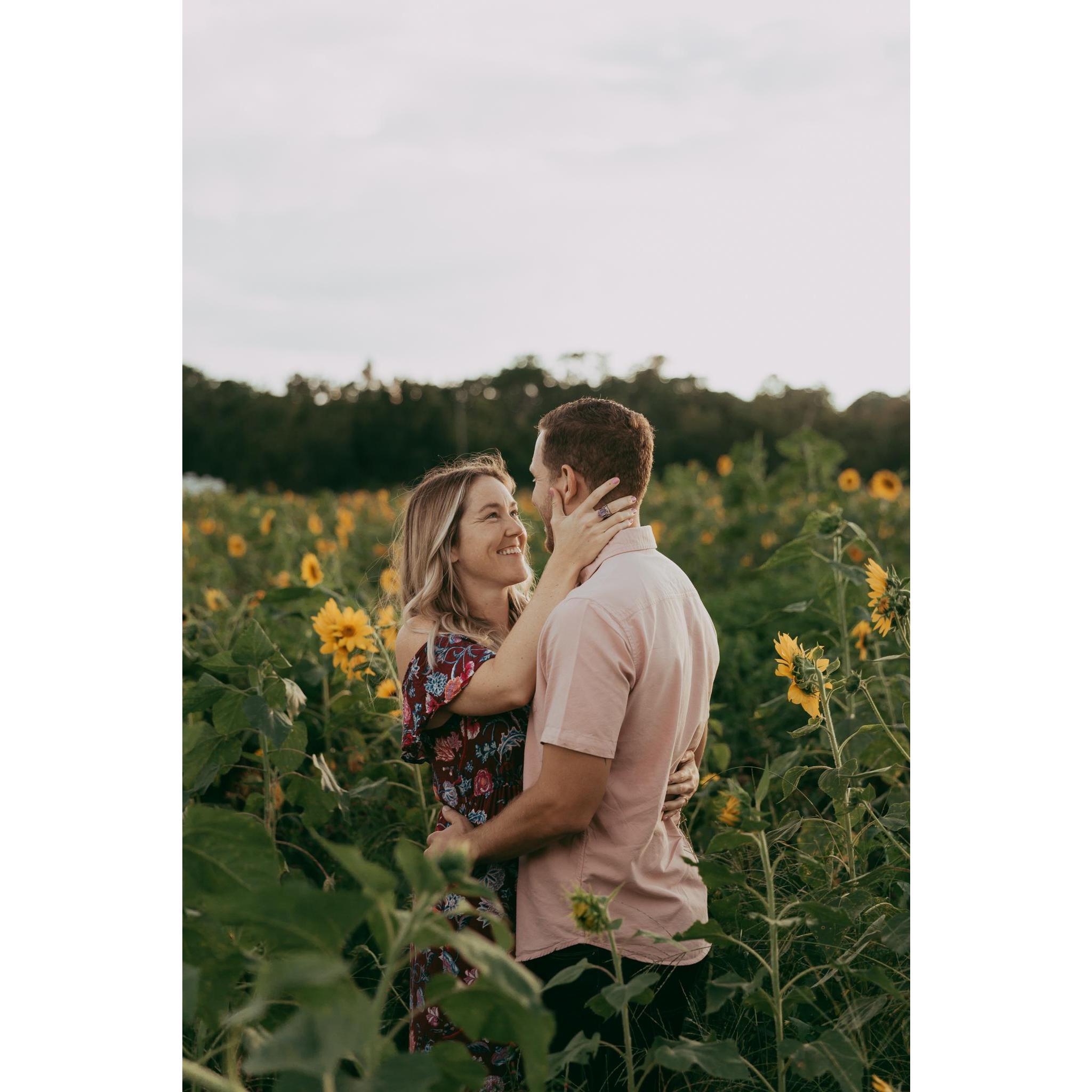 Engagement photos @ Micks Farm