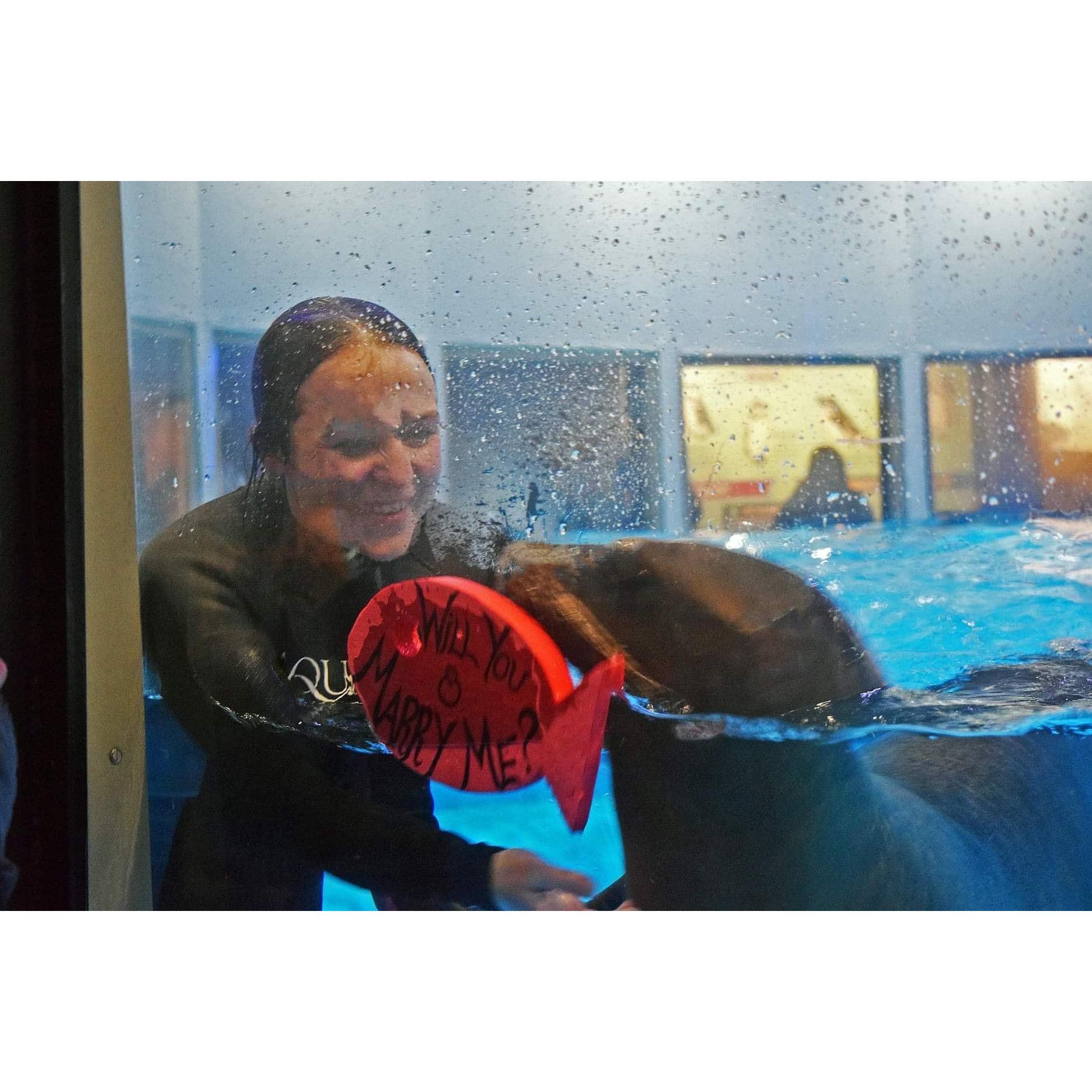 The Proposal š¤
ā”Location: Aquarium of Niagara
ā”Photographer: Melissa Rice, Aquarium of Niagara