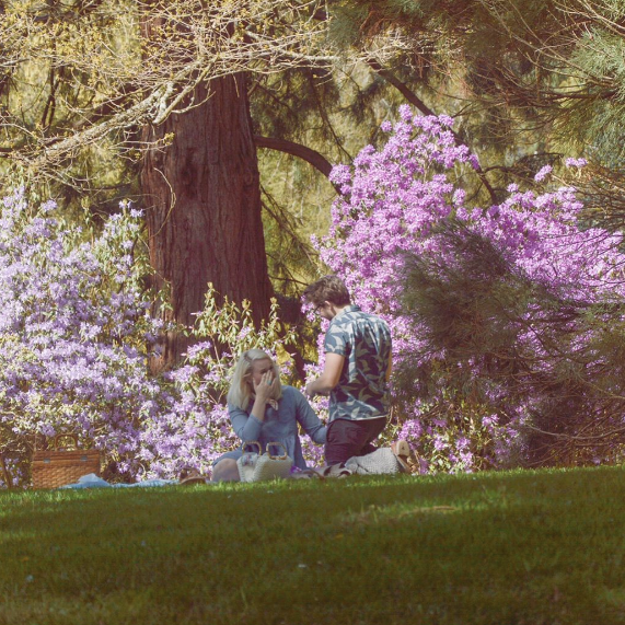 proposal at Laurelhurst Park