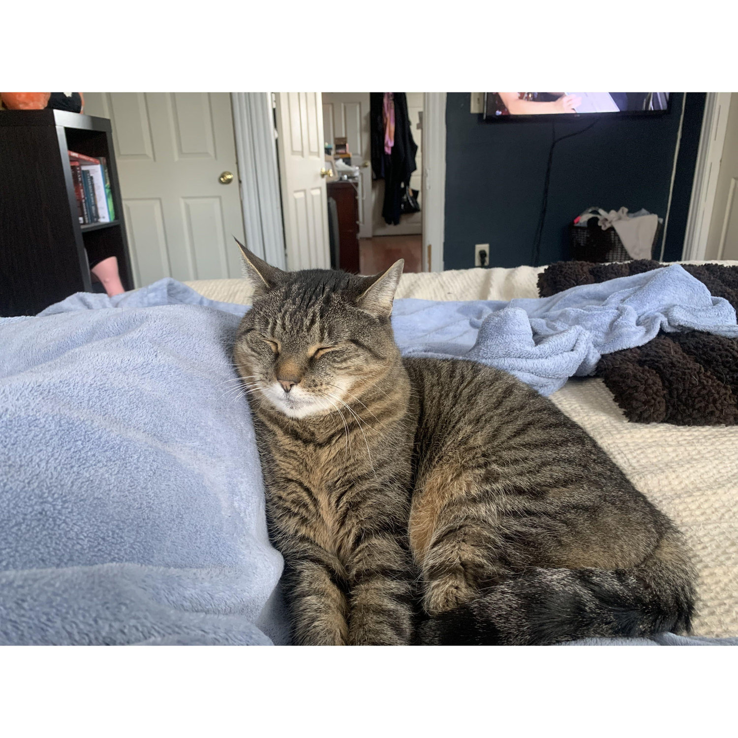 The queen of our house!