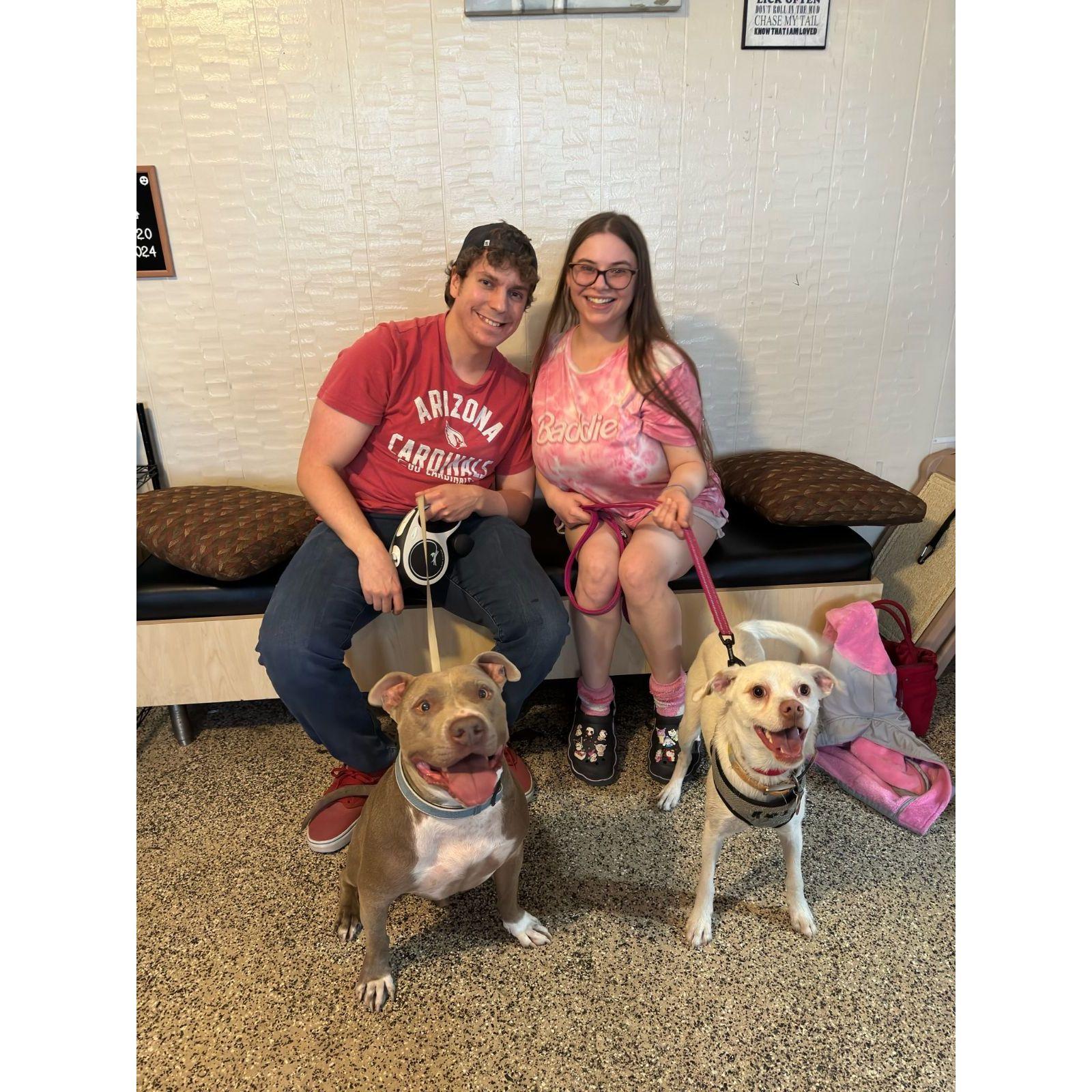 The day we adopted Max (2024)