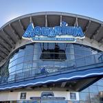 Downtown Aquarium