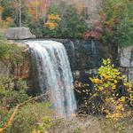 Lula Lake Land Trust