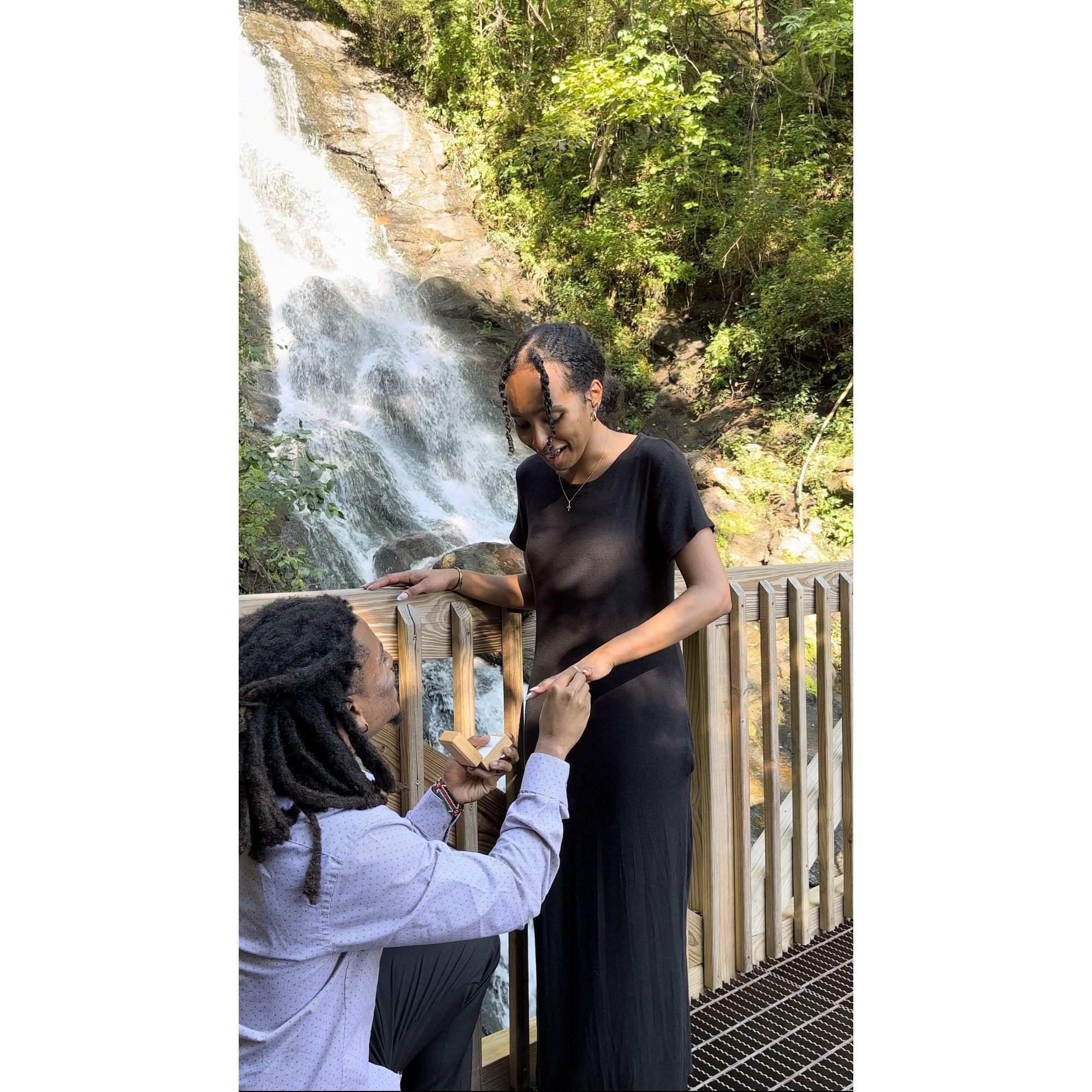 The moment he proposed - and she said yes!