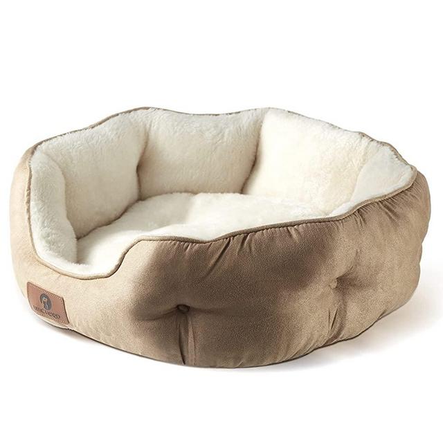 Asvin Small Dog Bed for Small Dogs, Cat Beds for Indoor Cats, Pet Bed for Puppy and Kitty, Extra Soft & Machine Washable with Anti-Slip & Water-Resistant Oxford Bottom, Light Brown, 20 inches