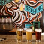 Wiseacre Brewing Company HQ