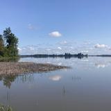 Fern Ridge Lake