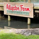 St. Augustine Alligator Farm Zoological Park