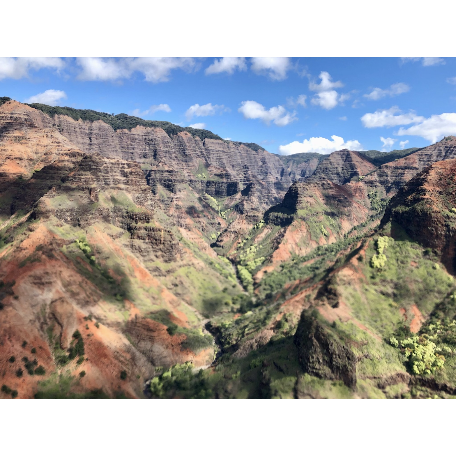 Another picture of Waimea Canyon from our helicopter.
