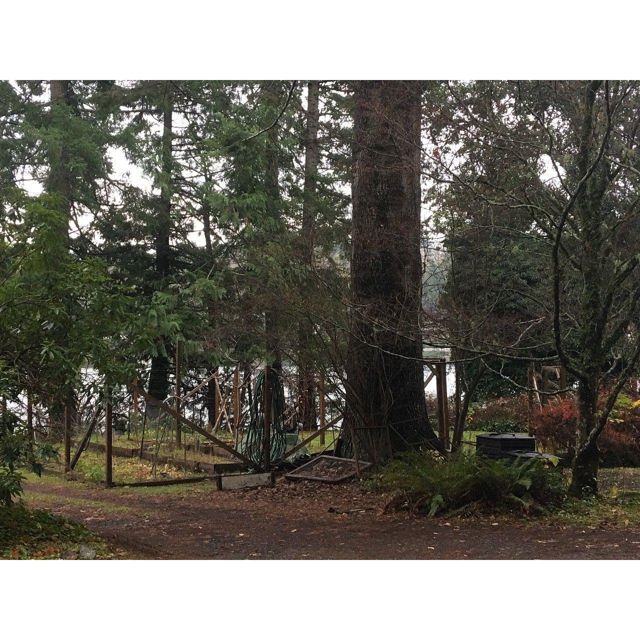 The Garden