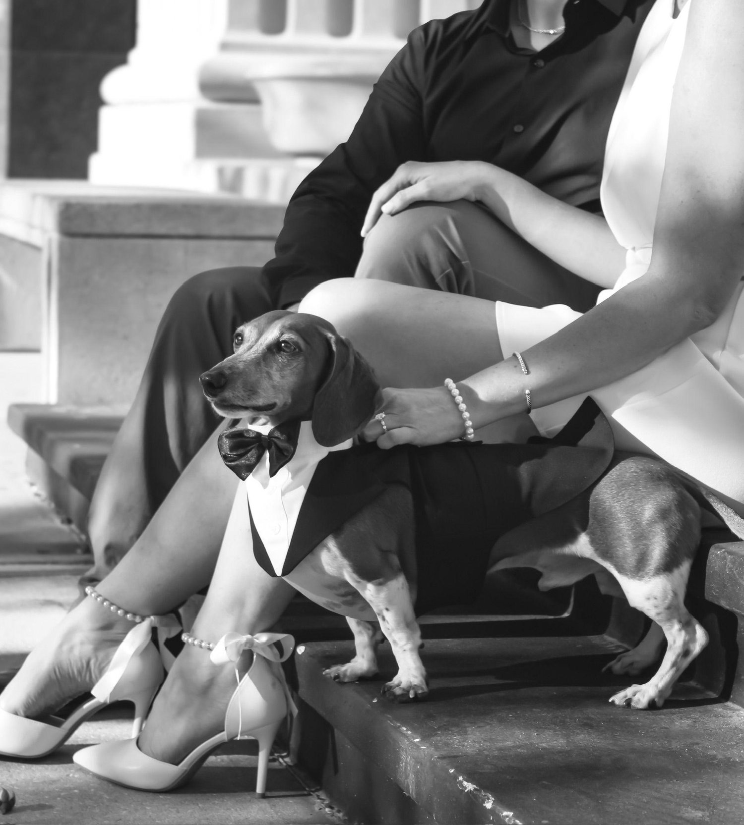 The Wedding Website of Michael Trebich and Savannah Deitch