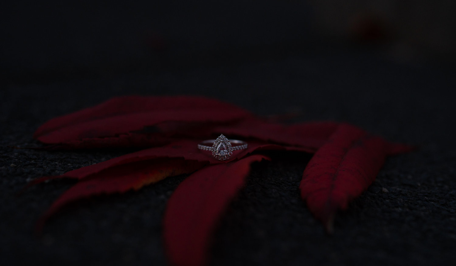 Footer image