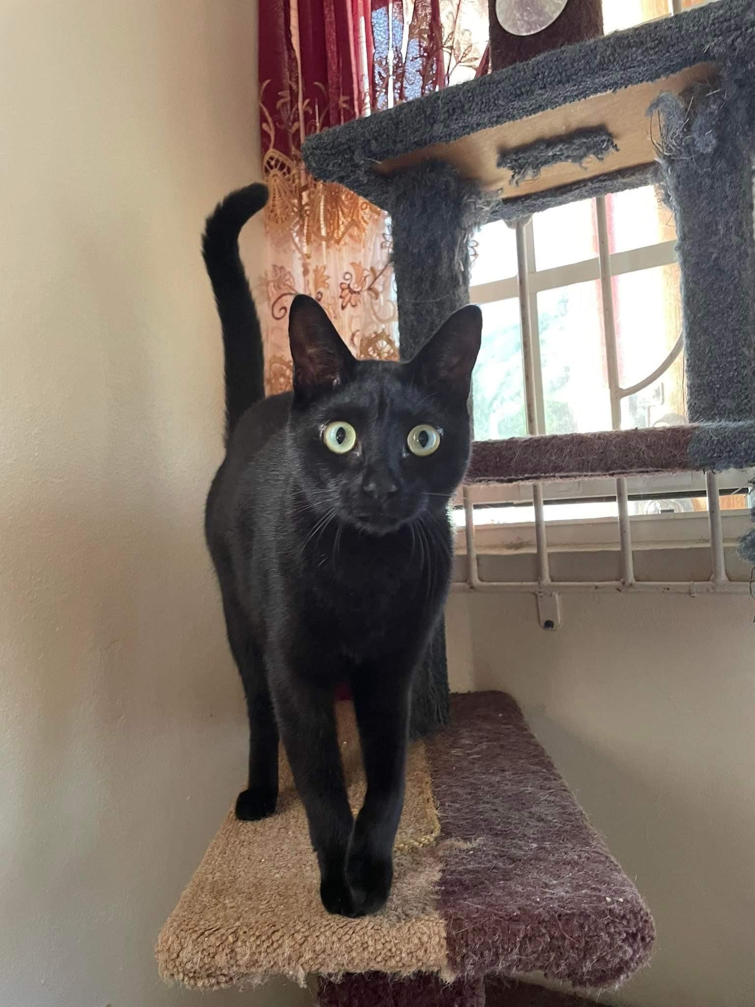 The Wedding Website of Linda Johnson and Jake Bisson