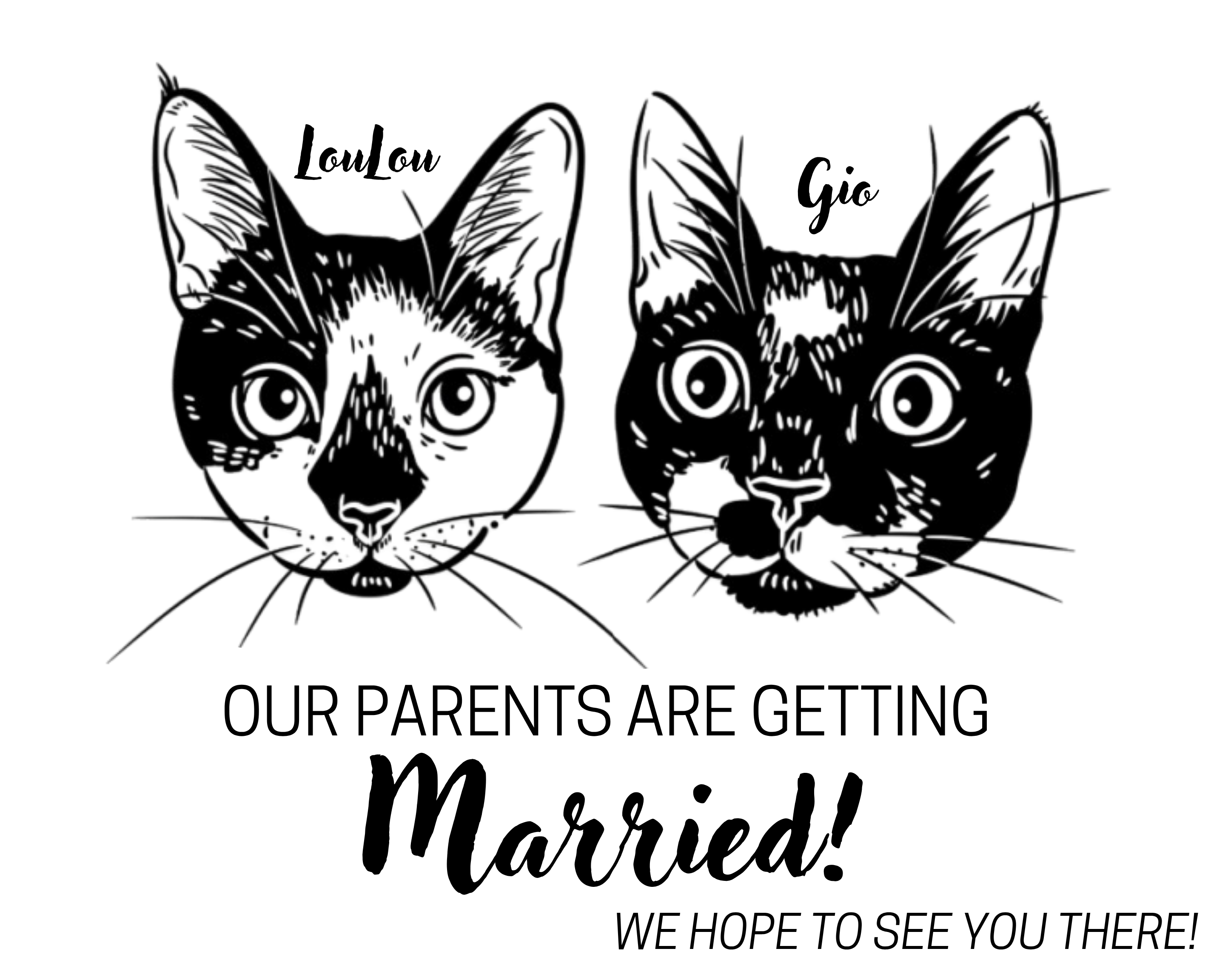 The Wedding Website of Madisen Babich and Nick Mraz