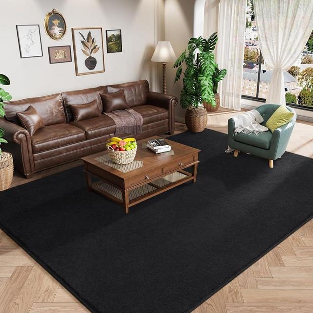 Amearea Modern Area Rugs for Bedroom Living Room, 4x6 Feet Black Thickened Memory Foam Rug, Fluffy Indoor Washable Rugs Non Slip Minimalist Carpet for Kids Boys Girls Dorm Nursery Room Decor